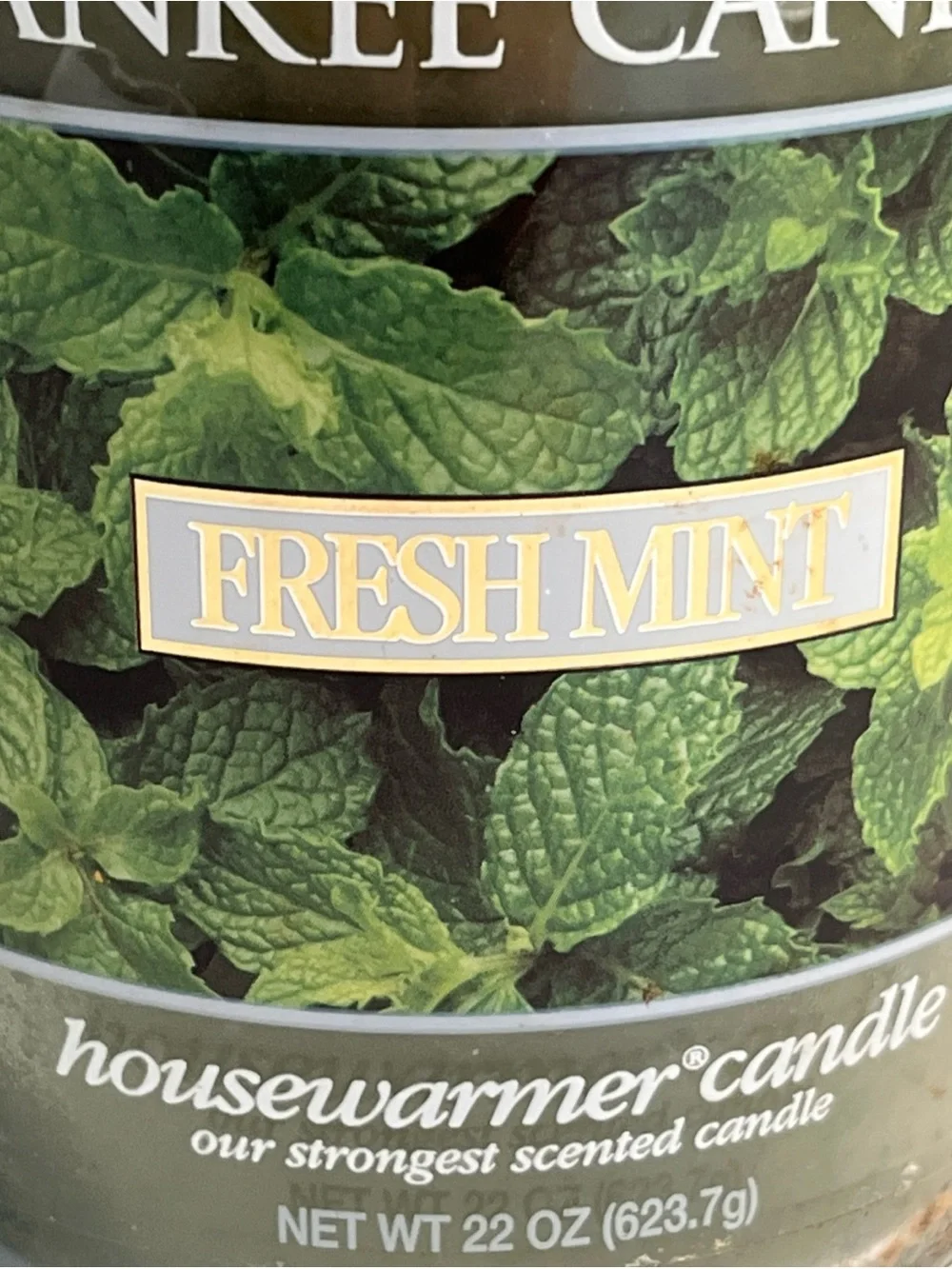 Yankee Candle Fresh Mint Retired Housewarmer Candle Large 22oz Green Single Wick